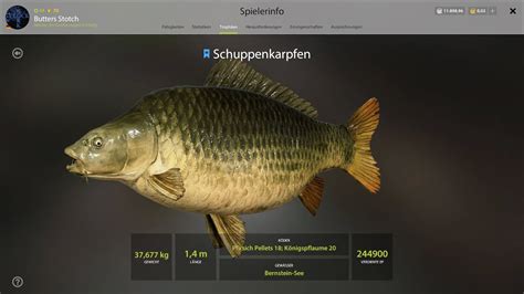 Russian Fishing Amber Lake Active Trophy Spot Super Trophy Common