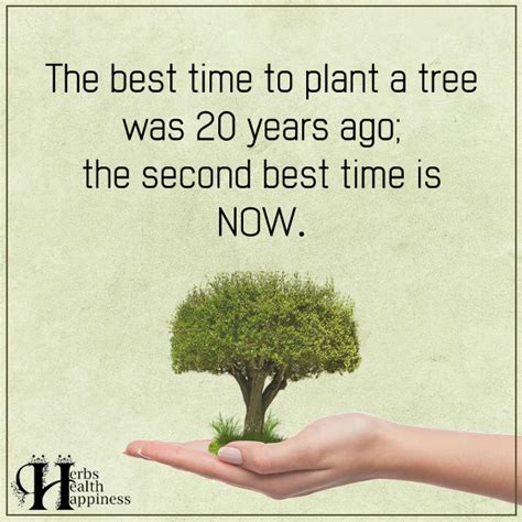 The Best Time To Plant A Tree Quotes To Live By Tree Quotes