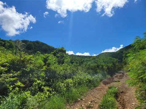 Best Hikes And Trails In Saint Croix Alltrails