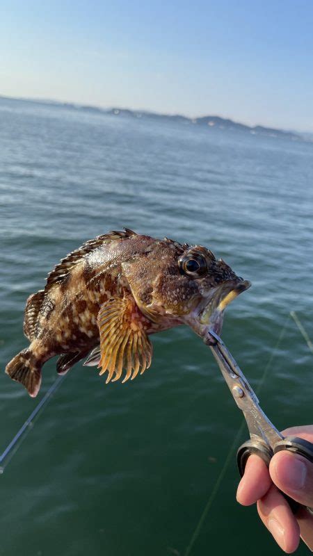 太刀魚不発 和歌山県 戸坂・塩津漁港 ショアジギング エソ 陸っぱり 釣り・魚釣り 釣果情報サイト カンパリ