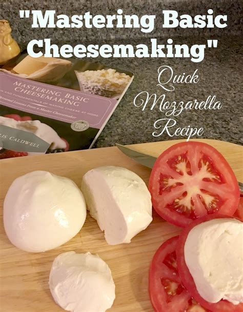 Mastering Basic Cheesemaking | Cheese recipes homemade, Mozzarella ...