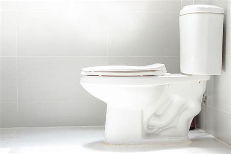 10 Best Pressure Assisted Toilets To Save Water And Help The Planet