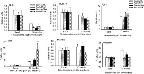 Skeletal Muscle Quadriceps Expression Of Interleukin 6 Il 6 Tumor