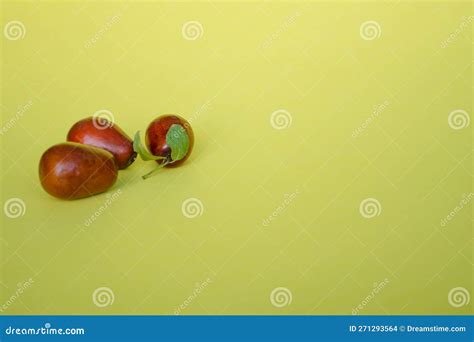 Fruits Ziziphus Jujuba Fruits Stock Photography Cartoondealer