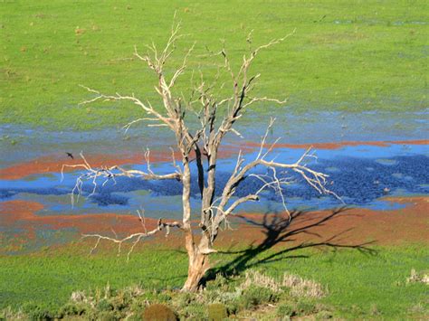 Nyngan, NSW - Aussie Towns