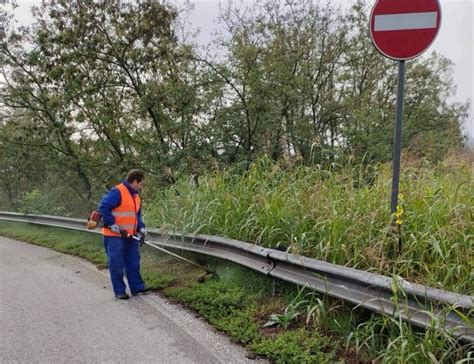 Riva Del Po Sfalcio Del Verde Pubblico Una Spina Nel Fianco Del