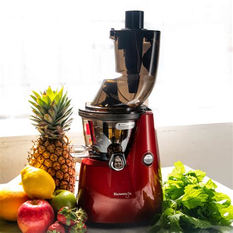 Best Cold Press Juicer Australia Karin Marlene