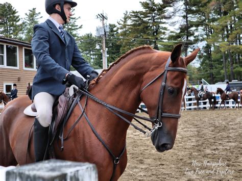 The Deerfield Fair Deerfield Nh New Hampshire Live Free And Explore