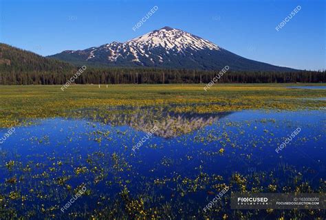 Sparks Lake Mount Bachelor Lakefront Snow Capped Mountain Stock