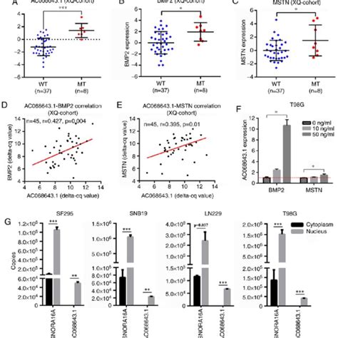 Identification Of Prognostic De Mrnas Between Idh Mt And Idh Wt Gbms