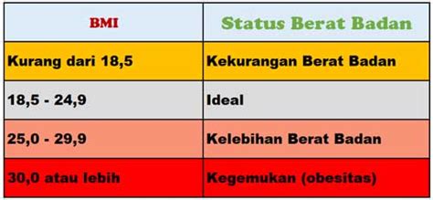 Apakah Tinggi Dan Berat Badan Anda Sudah Ideal Berikut Cara