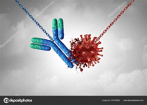 Curación Del Virus Anticuerpos Concepto Inmunoglobulina Como