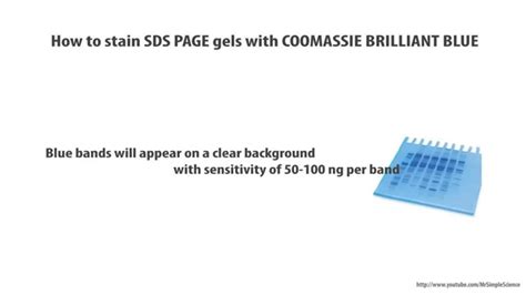 Coomassie Stain Recipe Ethanol Deporecipe Co