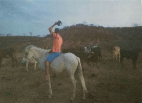 Tradicional Vaquejada Uma Festa Popular Que Acontece Na Cidade De