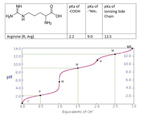 Solved Below You Can Find The Titration Curve For Arginine Chegg