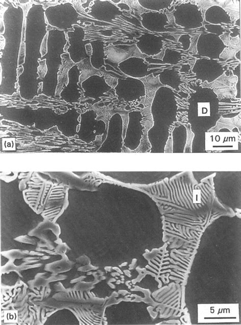 SEM Micrographs And EDX Analyses Of As Cast Silicon Added Stellite 6