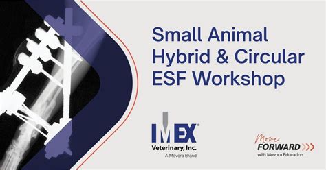 Imex Small Animal Hybrid And Circular External Fixation Workshop