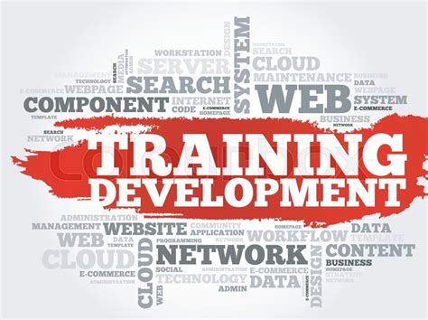 Training Development Word Cloud Stock Vector Colourbox