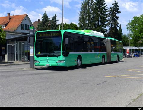 Bogestra Mb Citaro Linie Gelsenkirchen Hbf Nach Ge Horst Bus Bild De