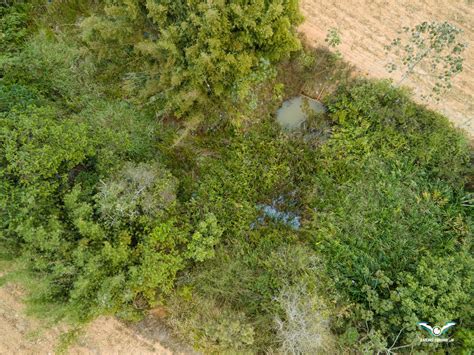 SITIO BOM SUCESSO Lucas Drone JF Imagens Aéreas