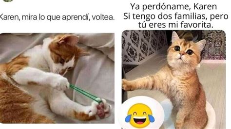 5 MEMES De Michis Y Karen Chistosos Para Compartir Petlife