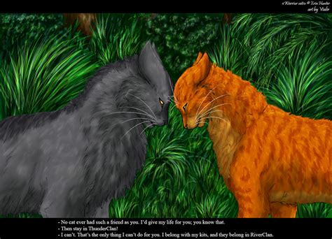 Graystripe And Fireheart By Vialir On Deviantart