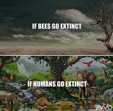 If Humans Go Extinct Natural Predators Wont Eat Their Prey R