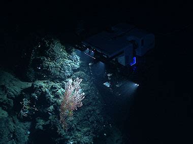 Noaa Ship Okeanos Explorer Northeast U S Canyons Expedition