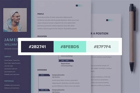 20 Stylish Resume Color Schemes for 2021