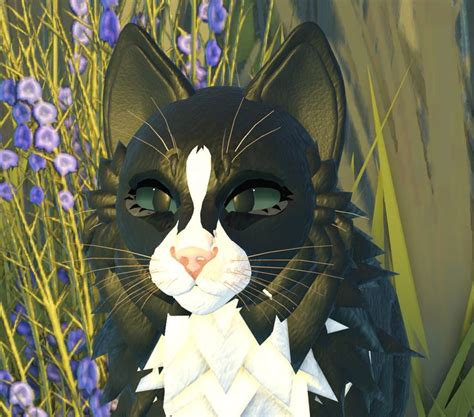 Tuxedo Cat Wcue Morph Black And White In 2024 Warrior Cats Warrior Cat Tuxedo Cat