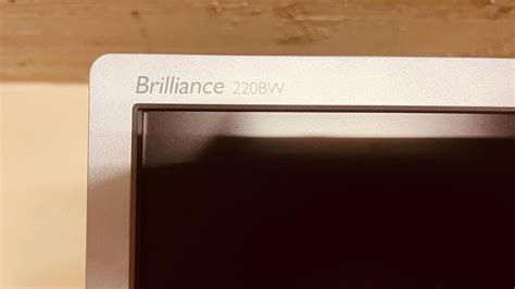 Lcd Breitbild Monitor Philips Brilliance Bw Kaufen Auf Ricardo