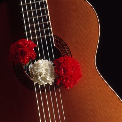 Flamenco En Madrid Los Mejores Tablaos Y Espect Culos Fever