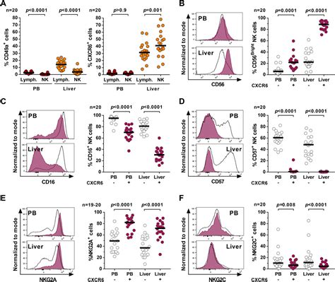 Human Liverderived CXCR6 NK Cells Are Predominantly Educated Through