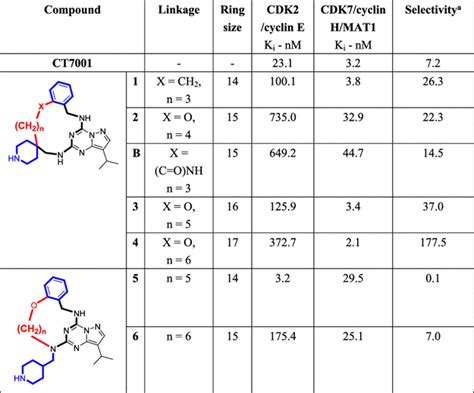 Design And Synthesis Of Novel Macrocyclic Derivatives As Potent And