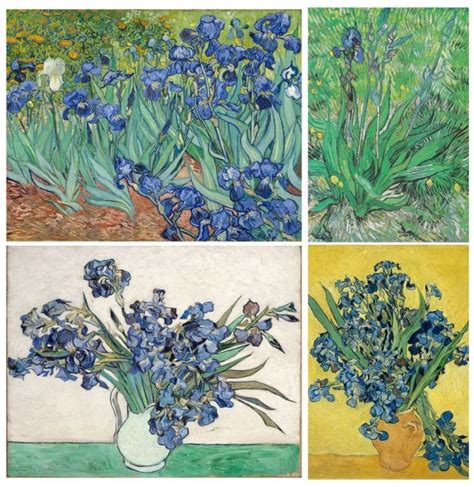 "Irises" by Vincent van Gogh - Studying the Famed "Irises" Painting