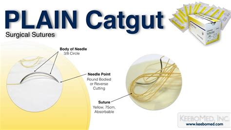 Plain Catgut Surgical Sutures Youtube