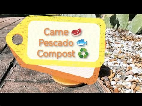 El Lombricero Compost Carne Y Pescado Meses Proceso Seguro En