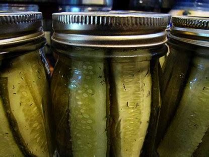 Dill Pickles - Farm Bell Recipes