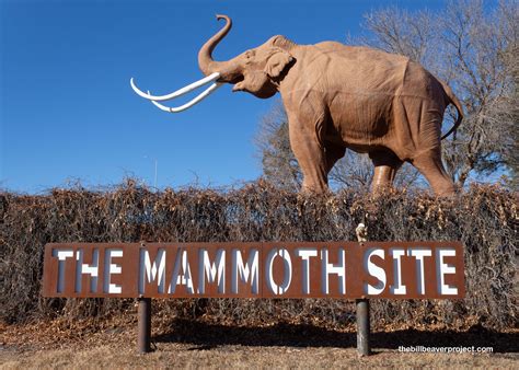 Mammoth Site Of Hot Springs South Dakota