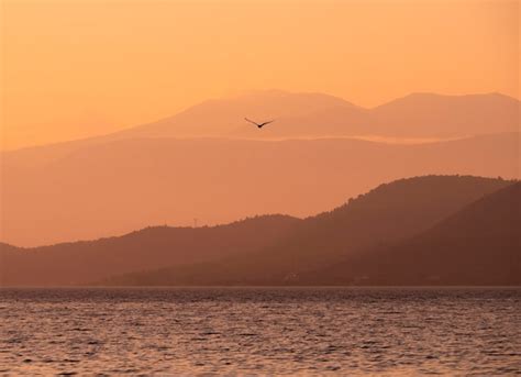 Por Do Sol Dourado E Gaivota Flutuante No Calmo Mar Egeu Na Ilha De