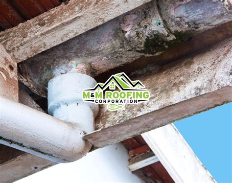 Expert Gutter Maintenance Services In New Jersey By M M Roofing Corp