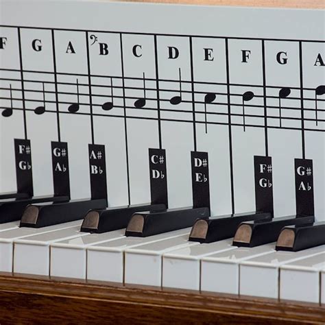 Keyboard Note Chart Etsy