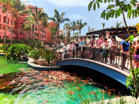 Feeding koi with Kids Club at Playa Grande Resort Cabo San Lucas 1 ...