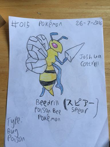 Drawing 17 Beedrill Pokémon Amino