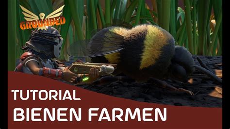 Grounded Tutorial Bienen Farmen German Deutsch Tutorial