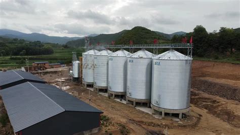 Customized Steel Grain Storage Silo For Sale Ton Corn Wheat