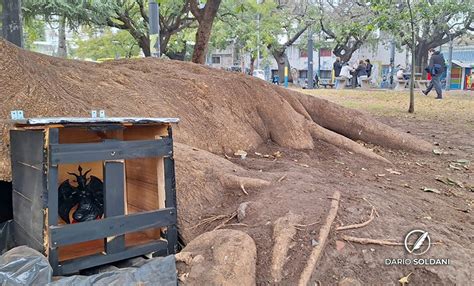 Escalofriante Hallazgo En La Plaza De Las Am Ricas Frente A La Escuela