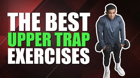 8 Best Upper Trap Exercises For Weak And Overactive Traps My Wordpress