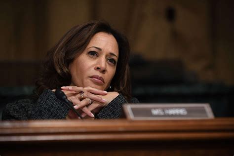 2020 Betting Odds Joe Biden New Democratic Frontrunner Kamala Harris