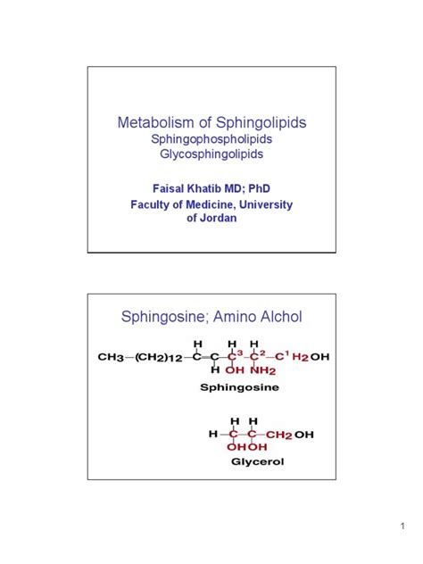 PDF Lipid Metabolism 5 Sphingolipids Handouts DOKUMEN TIPS